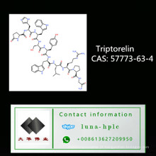 CAS: 57773-63-4 Peptide Hormone Triptorelin 2mg / frasco para Bodybuilding Triptorelin